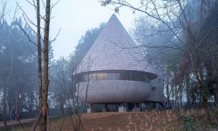 Na okraji borovicového lesa vyrostl malý domek The Mushroom