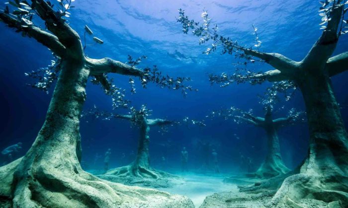 U pobřeží Kypru vyrostl velký podmořský les s 93 sochami stromů a postav