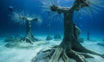 Jason deCaires Taylor a jeho podmořský les na Kypru