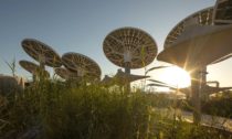 Pavilon udržitelnosti Terra od Grimshaw na Expo 2020