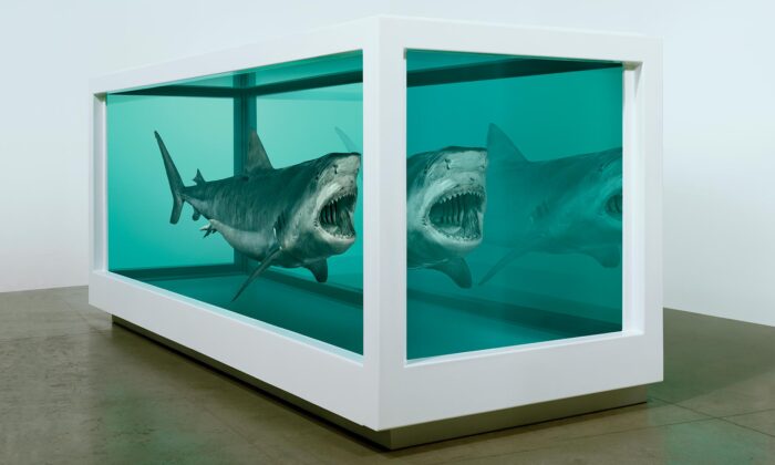 Damien Hirst vystavuje žraloky i telata ve formaldehydu jako kontroverzní umělecká díla