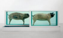 Damien Hirst a ukázka z výstavy Natural History v galerii Gagosian