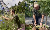 The Woolbeding Glasshouse od Heatherwick Studio