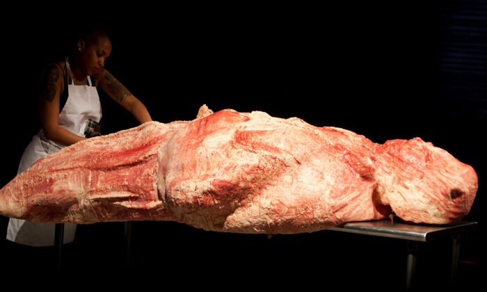 Doreen Garner vytváří extrémní sochy připomínající pitevní pokusy zvířat i lidí