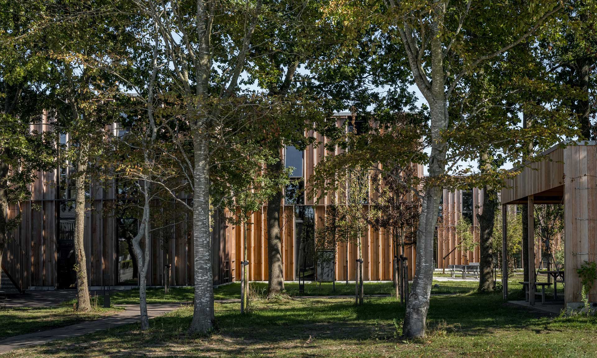 Dánská škola ve městě Vrå je usazena v lese a boří hranice mezi stavbou a přírodou