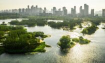 Plovoucí stezka v parku v čínském městě Nanchang