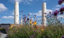 Battersea Roof Gardens