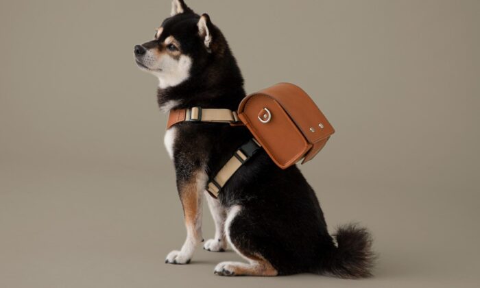Tsuchiya Kaban navrhl kolekci doplňků pro psy včetně školní tašky na pamlsky