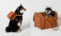 Tsuchiya Kaban a kolekce doplňků pro psy