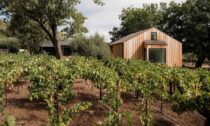 Dům ve vinicích u amerického města Healdsburg