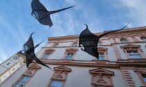 Michal Trpák – Andělé moří – Olomouc