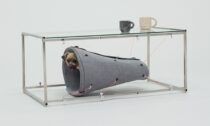 Architecture for Dogs