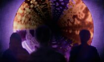 Nizozemský pavilona na Expo 2025