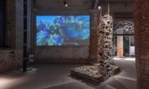 Biotopia: Propagative Structures