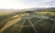 Vinařství Sauska Tokaj v Maďarsku