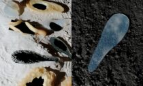 Terra Aesthetica od Sofie Artemevy