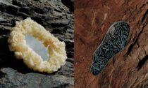 Terra Aesthetica od Sofie Artemevy