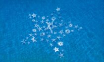 The Miami Reef Star