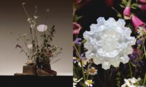 Justina Alexandroff a její Faux Flora