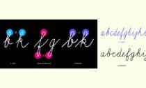 Vividbooks Skript
