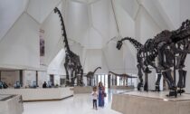 Natural History Museum Abu Dhabi od Mecanoo