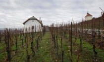 Přístavba a renovace viničního Domku vinice sv. Kláry